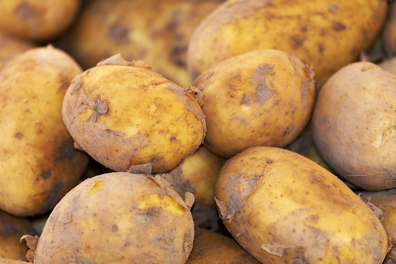 Potato, new harvest, nature — Bezpieczeństwo i Rola Odpowiedzialnej Rozgrywki w Cyfrowym Świecie Kasyn Online