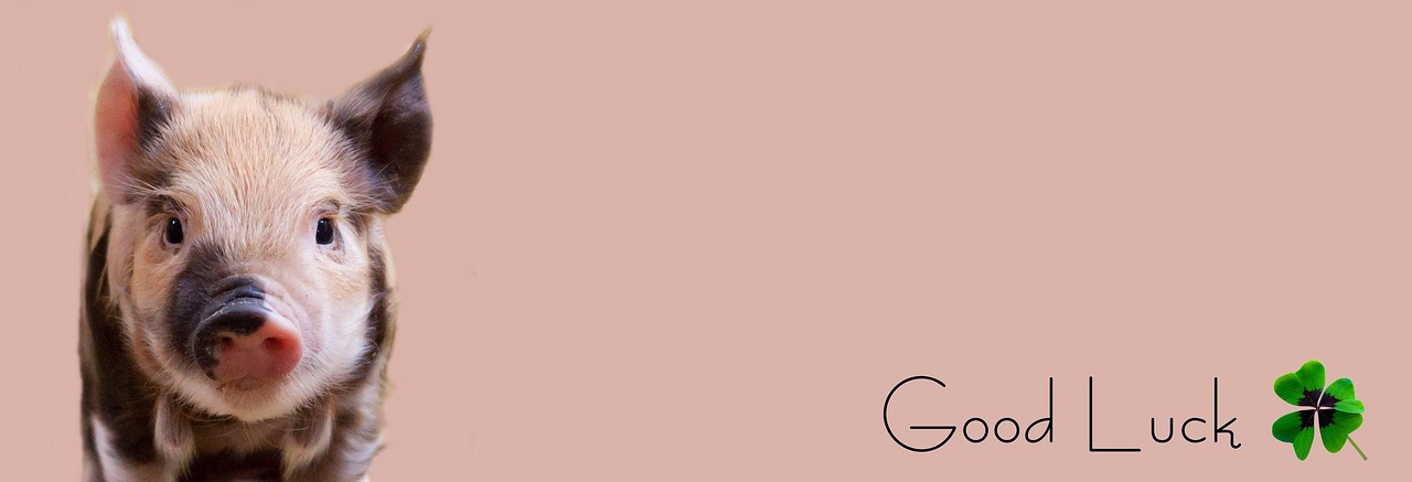 Piglet, pig, happiness — CasinoLab Leaderboard Tips om Hoog op de Ranglijst te Komen