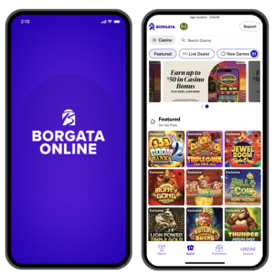 Cele mai bune cazinouri online cu bani reali » Lista site-urilor