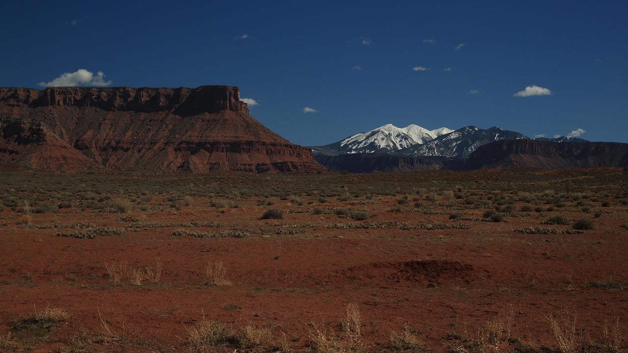 Landscape, mountains, new mexico — In einem zunehmend komplexen Marktumfeld stehen Immobilienverwalter in Deutschland vor der