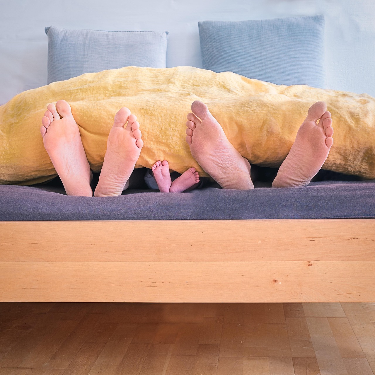 Wooden, inside, wood — Innovación y Transparencia en la Gestión Urbana: La Nueva Era de las Plataformas Digitales para la Ciu
