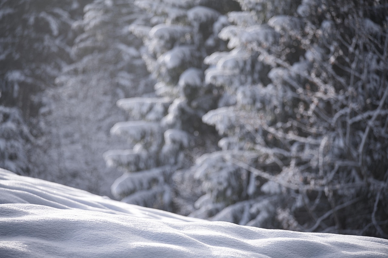 Snow, nature, winter — Moderne Support-Strategien im Online-Glücksspiel: Die Kunst der Kundenerfahrung meistern