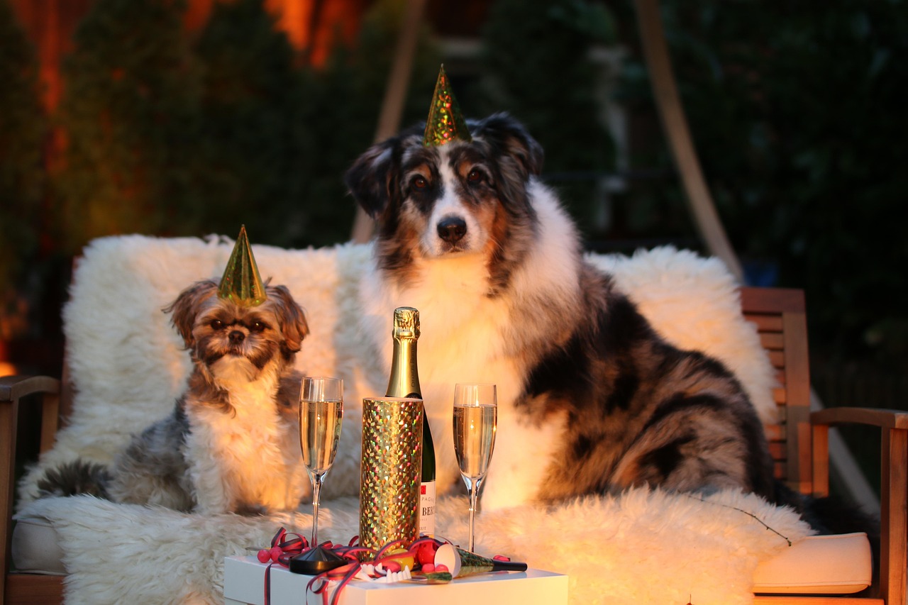 New year's day, sylvester, new year's eve 2015 — Navigating the Evolving Landscape of Spin & Regenerative Agriculture