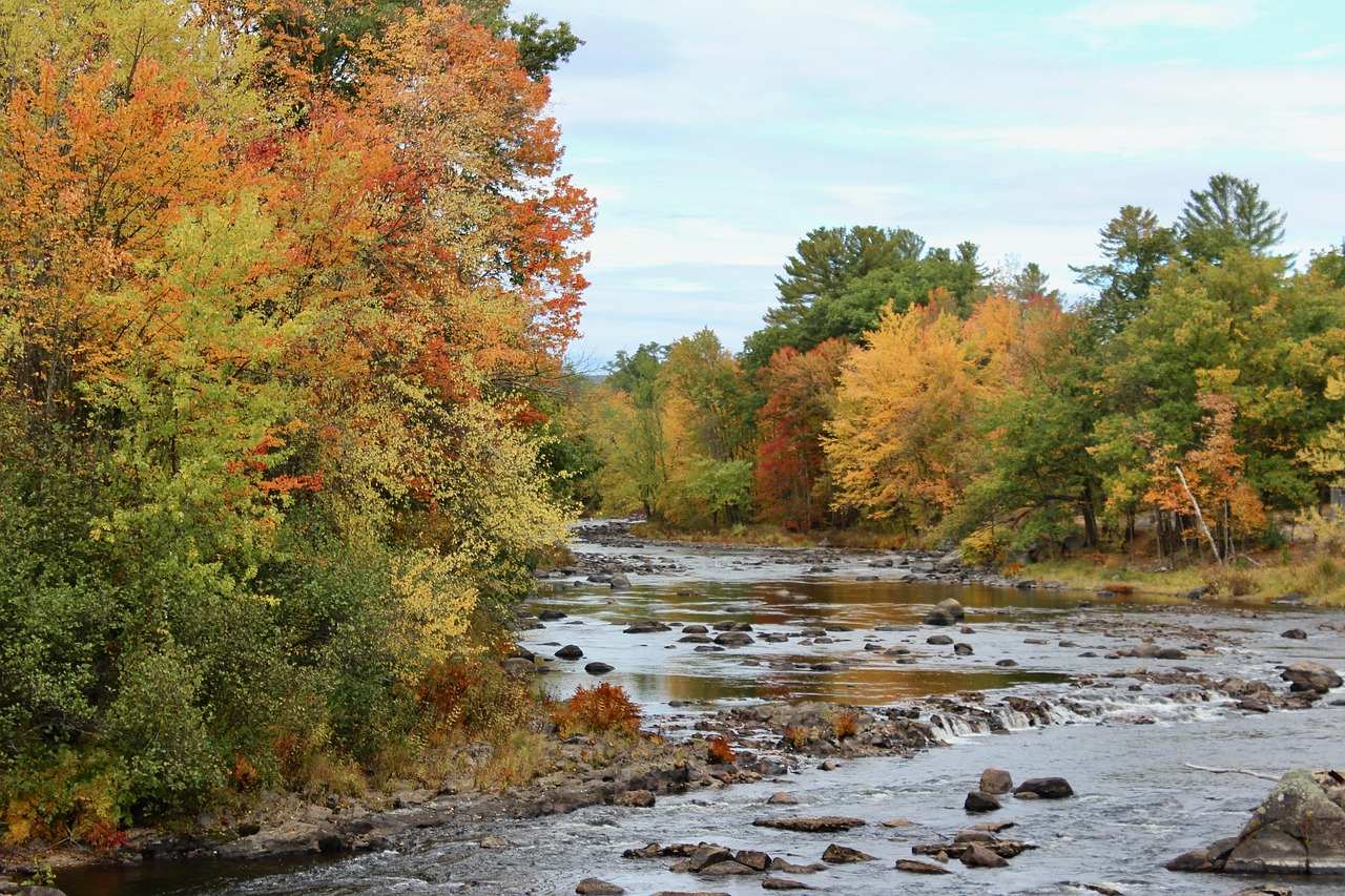 Fall, new england, new hampshire — The Evolution of Online Casino Promotions: Strategies for Maximizing Player Engagement